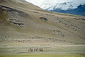 The road from Leh to Manali 